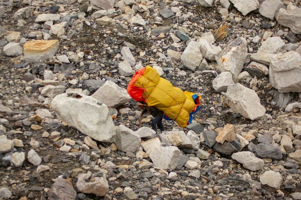 Come si può utilizzare il modello di Porter per analizzare la competitività di una filiera agroalimentare?